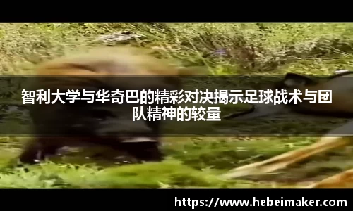 OB电竞官网